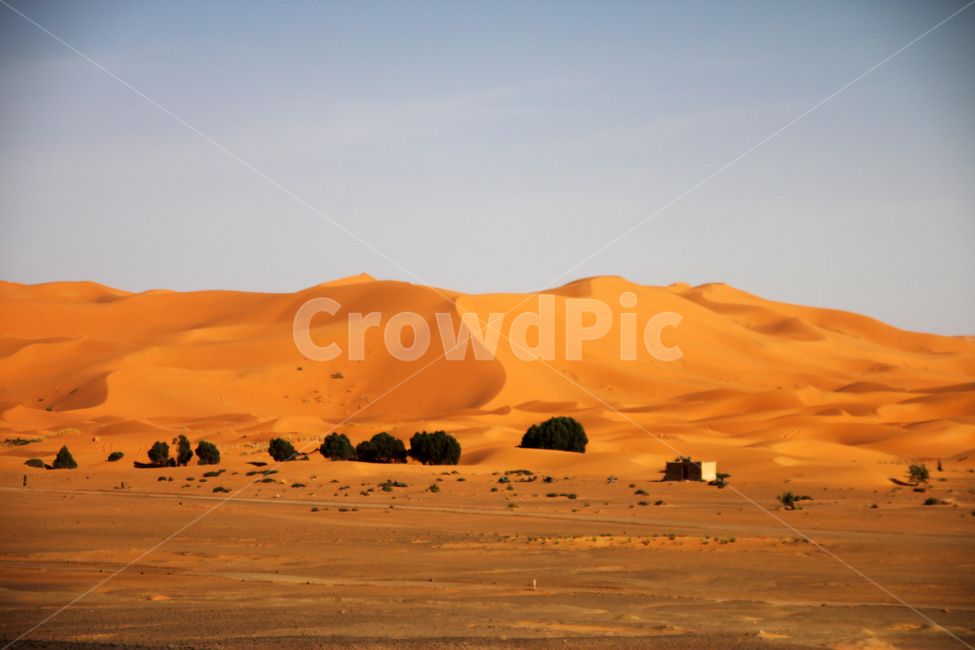 사막,사하라사막,모래,풍경,아프리카,모로코,사막풍경,풍경사진,자연풍경,모로코여행,sahara,건조,모래알,자연,풍경,nature,landscape,해외,외국,세계,foreign,oversea,world,세계자연풍경,해외자연풍경,외국자연풍경,world nature landscape,soil,흙,outdoors,옥외,sand,dune,모래 언덕