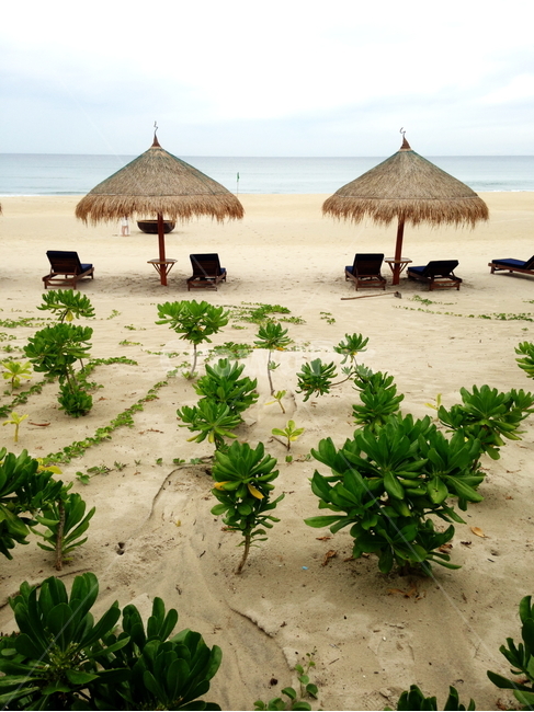 동남아,베트남,다낭,바다,비치,해변,파라솔,선베드,수평선,해변,바다,beach,sea