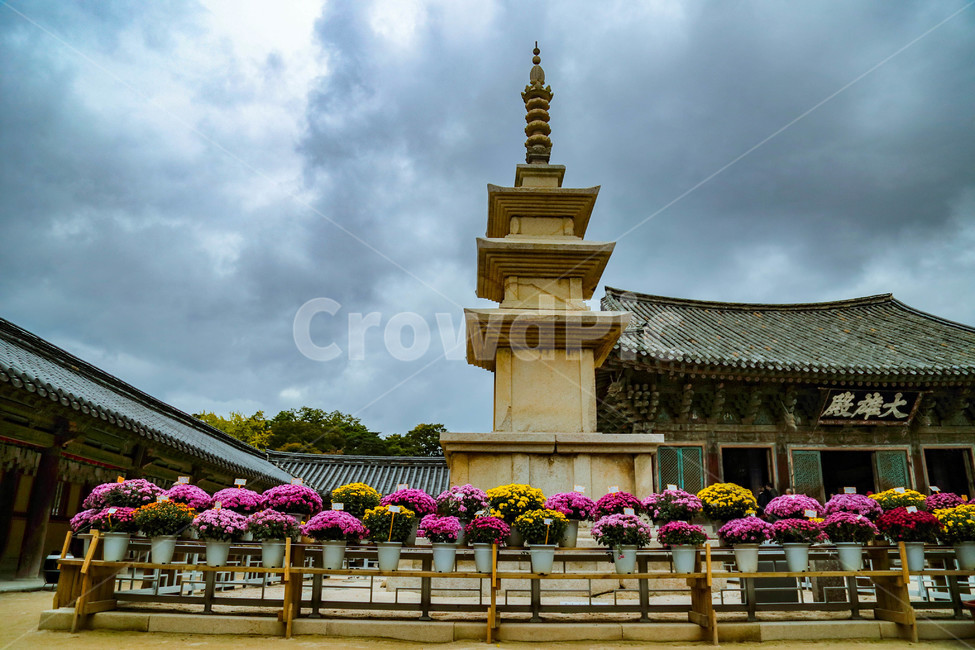 경주,불국사,석가탑,석탑,불교,낮,가을,조각상,석상,조형물,랜드마크,landmarkkorea,tourist,한국랜드마크,한국관광지,한국명소,korea,landmark