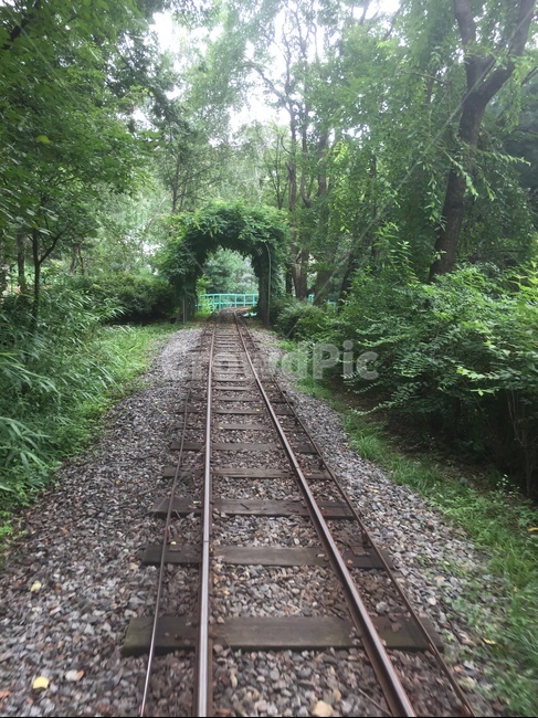 기찻길,철도,rail,railway,자갈,흙길,레일,숲