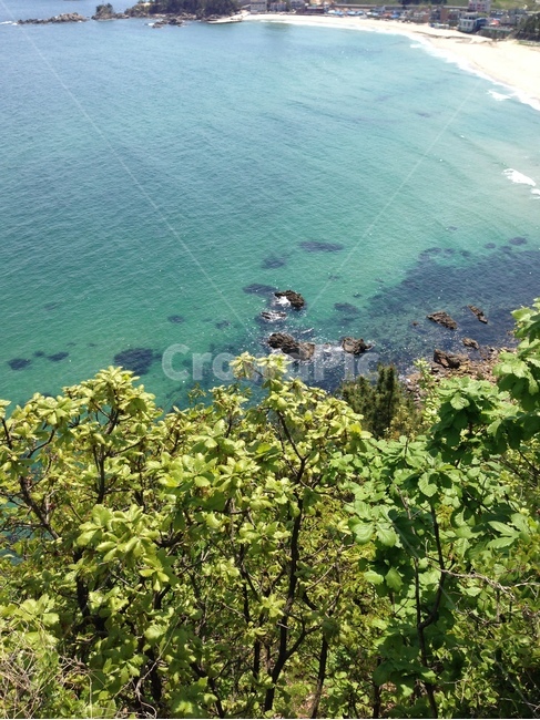 바다,동해,자연,풍경,여름,sea,eastsea,nature,landscape,scenery,summer
