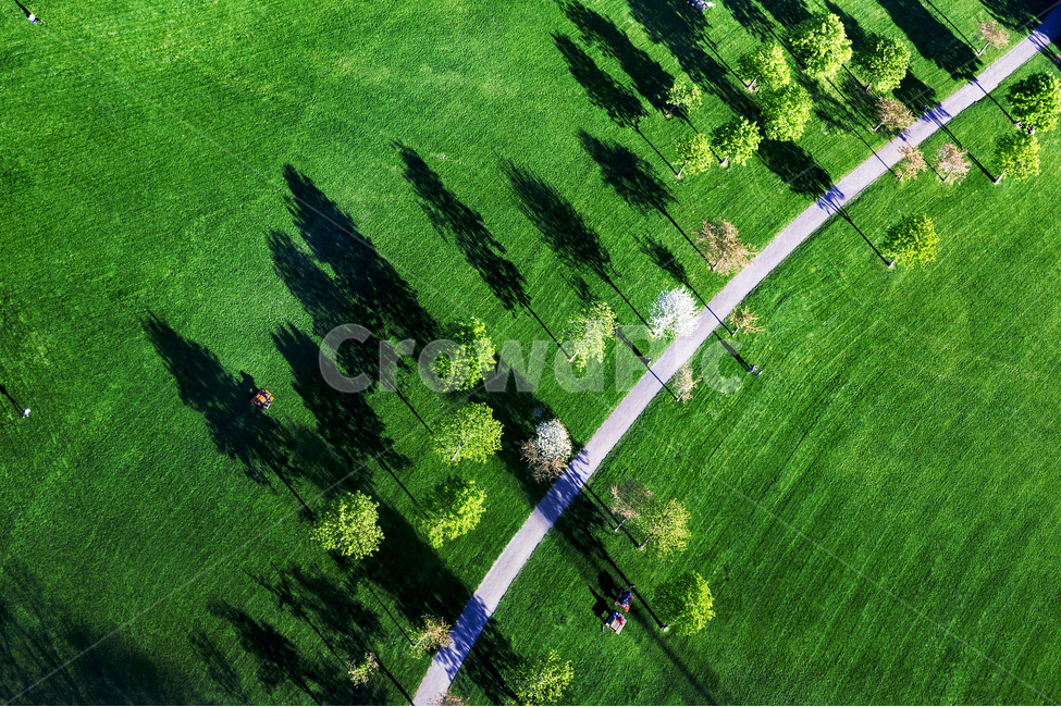봄,공원,봄나들이,풍경,초록색,자연,풍경,nature,landscape,grass,잔디,plant,식물,outdoors,옥외,scenery,경치,green,초록