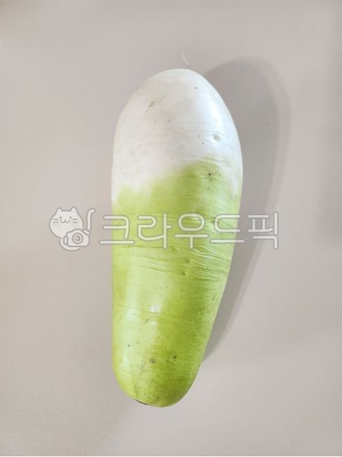 무우, 무, 제주무우, 김치재료, 식재료, 사진,이미지,일러스트,캘리그라피 - 전나은작가
