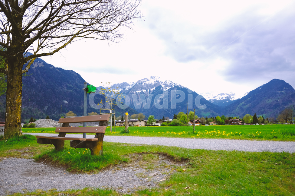 스위스,인터라켄,유럽,swiss,europe,벤치,마을,시골,휴식,시골길,길,자연,풍경,nature,landscape,시골,마을,country,rural,town,해외,외국,세계,foreign,oversea,world,세계자연풍경,해외자연풍경,외국자연풍경,world nature landscape,bench,furniture,가구