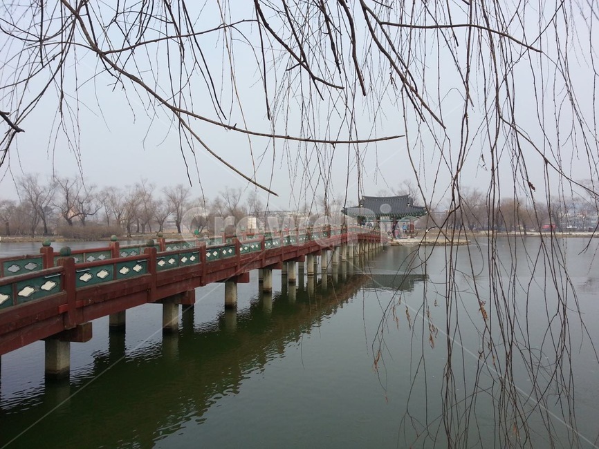 다리,여행,겨울,building,물