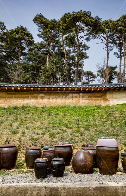 서산유기방가옥,문화재,관광지,장독,전통장독대,전통가옥,전통담장,소나무,항아리,옹기,명가,한국전통,한국문화,korean traditional,korean culture