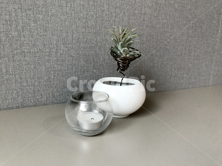 화분,회색벽지,소품,촛불,카페,cafe