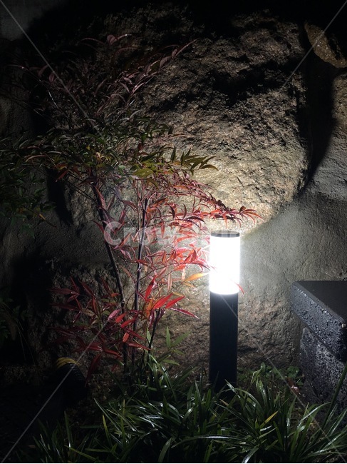 light,빛,flare,플레어,조명,나무,돌