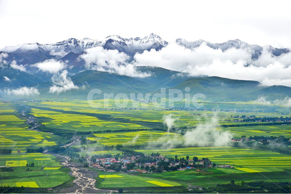 중국,문원유채밭,유채밭,안개,outdoors,옥외,landscape,경치,nature,자연,scenery,풍경,mountain,산,mountainrange,산맥,자연,풍경,nature,landscape