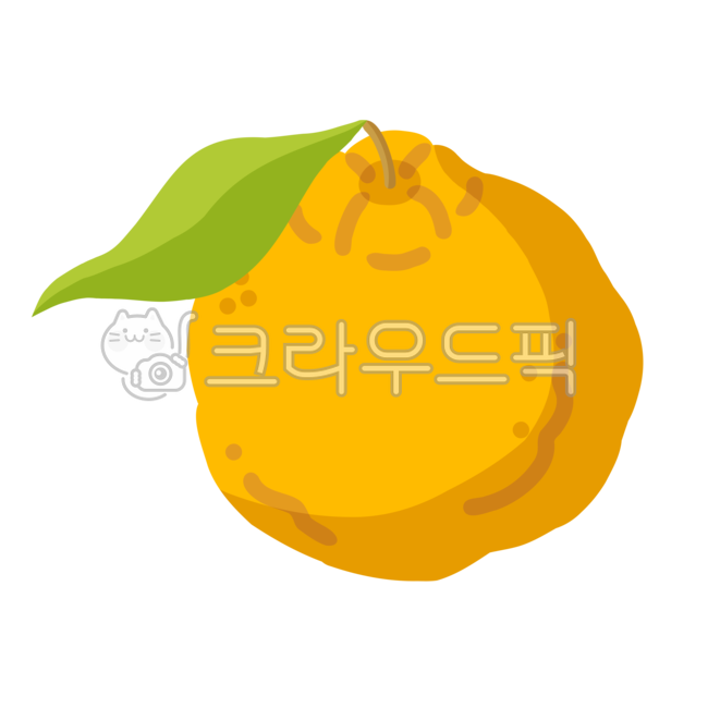 한라봉,한라봉일러스트,손그림,제주도,제주도일러스트,시트러스,상큼한,제주,귤,감귤,과일,제철과일,새콤한,맛있는,신선한과일,과일일러스트,그림,일러스트,핸드드로잉,제주일러스트,레드향,천혜향,천혜향일러스트,레드향일러스트