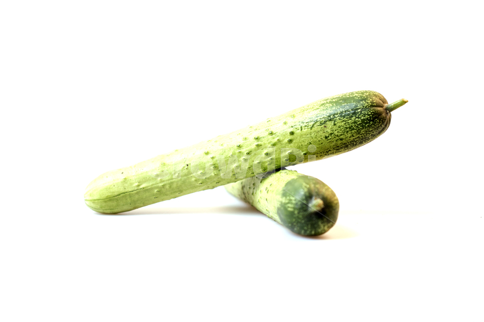 오이,가시오이,야채,채소,식물,열매,음식,디저트,웰빙,신선한,프레쉬,새콤한,달콤한,비타민,다이어트,건강,배경,백그라운드,아웃포커스,접사,근접,누끼,오브젝트,컨셉,음식,식재료,요리,food,cook,meal,dishes,food reserves,채소,야채,vegetables,누끼,remove background
