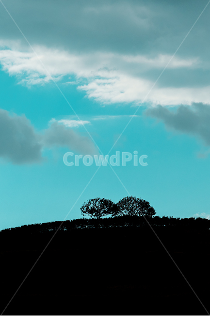 구름,하늘,실루엣,나무,동산,배경화면,sky,landscape,blue,cloud,풍경,자연,풍경,nature,landscape,실루엣,그림자,silhouette,shadow,weather,날씨,outdoors,옥외,cumulus,적운