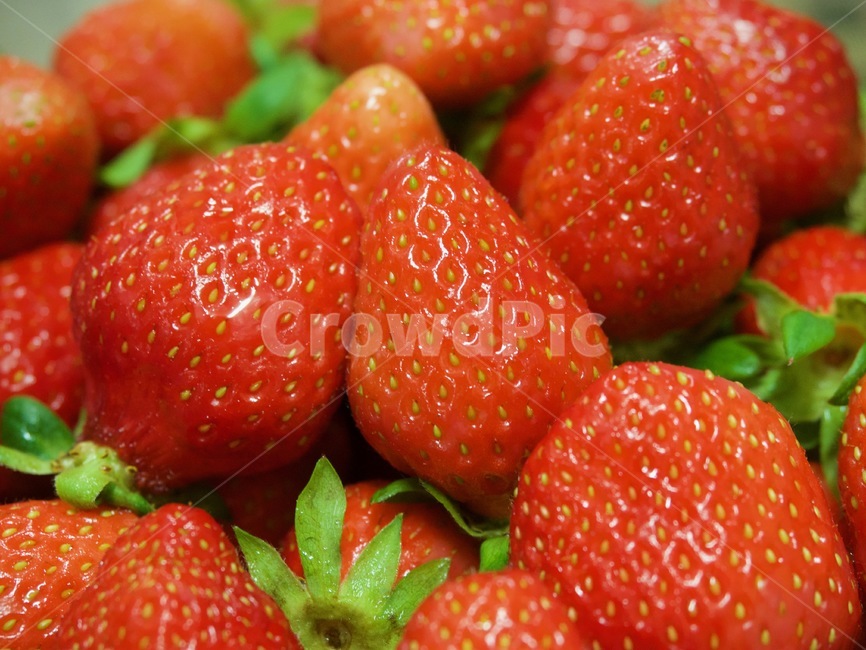 신선한딸기,녹색,흰색,한국딸기,빨간색,유기농,유기농딸기,배경,fruit,과일,strawberry,딸기,food,식품,음식,식재료,요리,food,cook,meal,dishes,food reserves,과일,열매,fruit,채소,야채,vegetables