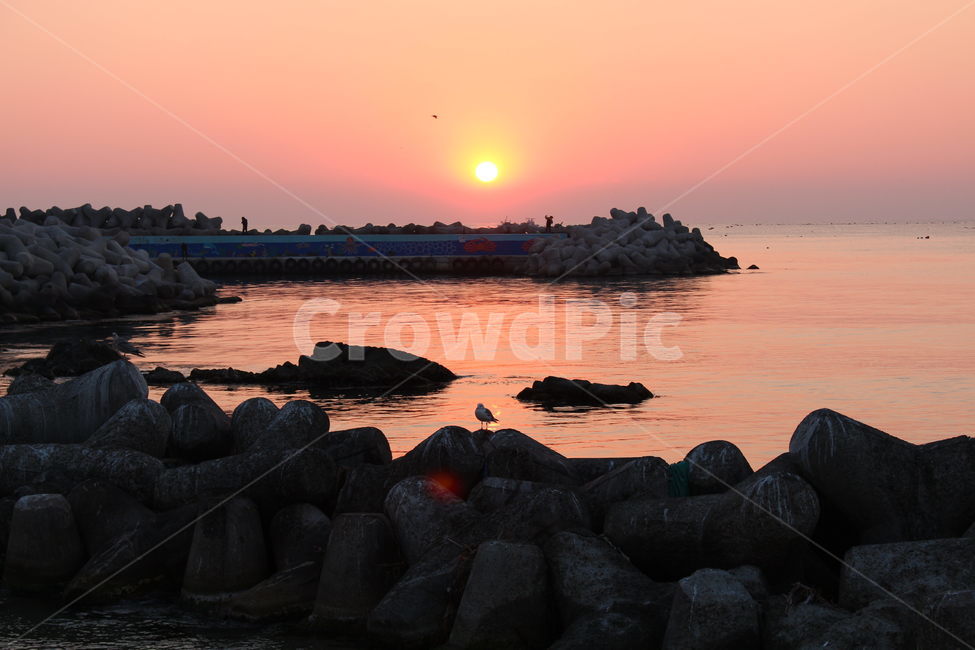 동해,일출,해돋이,아침,바다,산책,자연,풍경,nature,landscape,sky,하늘,outdoors,옥외,sunset,일몰,dusk,황혼,dawn,새벽,red sky,붉은 하늘