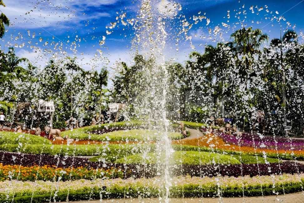 여름,분수,정원,색감,구름,시원함,자연,풍경,자연,풍경,nature,landscape,여름,계절,summer,season,water,물