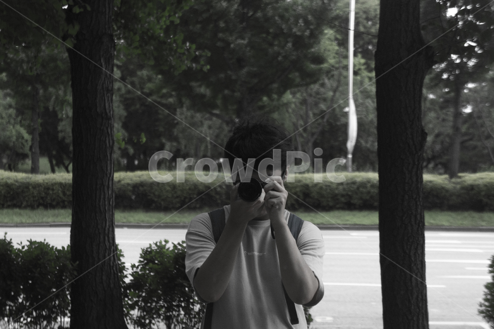 카메라,나무,도로,여행,camera,배낭여행,길거리,거울
