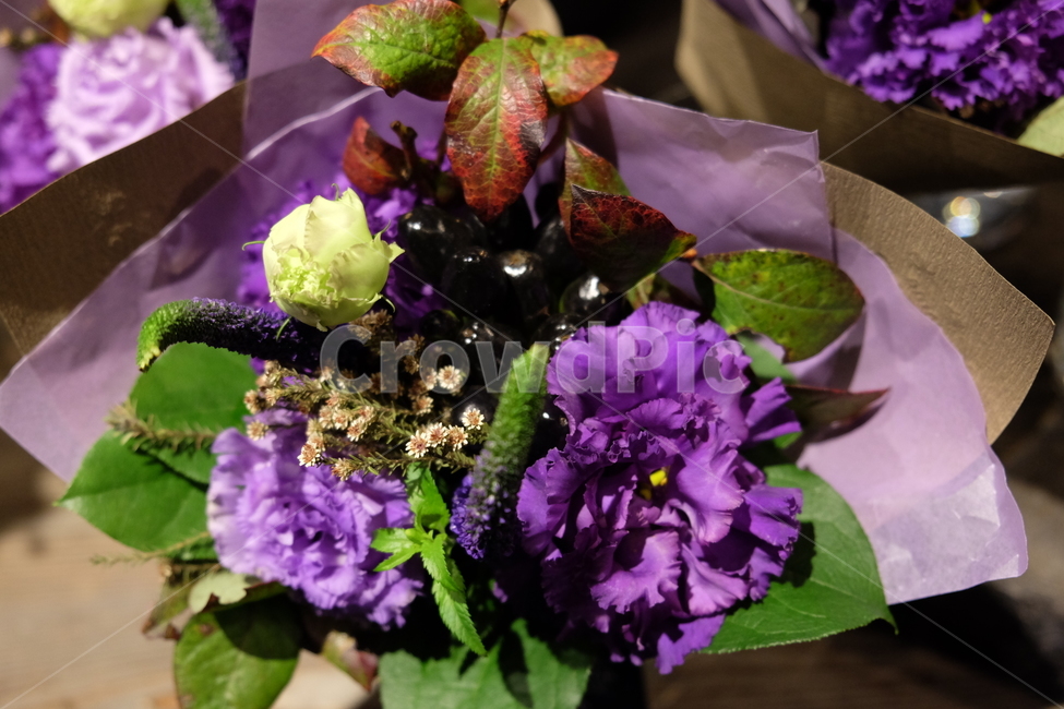 꽃,식물,리시안셔스,보라색,보라색꽃,식물,자연,plants,nature,꽃,flower