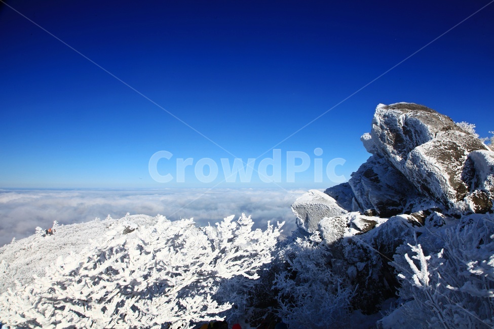 tree,나무,plant,식물,nature,자연,outdoors,옥외,ice,빙,snow,눈,mountain,산,mountainrange,산맥,상고대,무주,덕유산,덕유산설경,설경,설천봉,향적봉,중봉,덕유산국립공원,운해