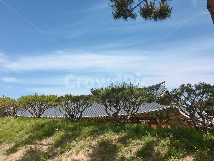 기와,전통적인,처마,한국적인,전통문화,자연,풍경,nature,landscape,한국자연풍경,한국자연경관,korea nature landscape,한국전통,한국문화,korean traditional,korean culture