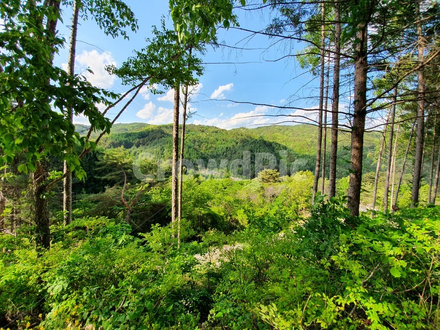 산,하늘,나무,풍경,자연,sky,mountain,landscape,scenery,scene,view