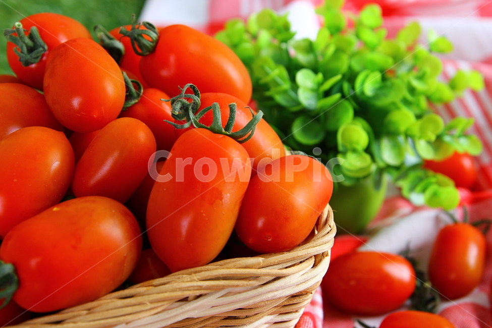Jujube Cherry Tomato,jujubetomatoes,fruit,tomato,vegetable,vegetables,food,Red,red,fruits,fresh