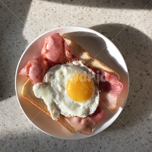 브런치,계란,베이컨,음식,요리,음식,식재료,요리,food,cook,meal,dishes,food reserves