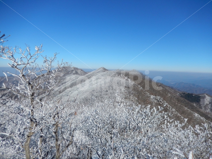 민주지산,눈꽃풍경,상고대,겨울풍경,겨울동화,눈풍경,파란하늘,100대명산,겨울명산,설경,서리꽃,영동,각호산,자연,풍경,nature,landscape,겨울,계절,winter,season,outdoors,옥외