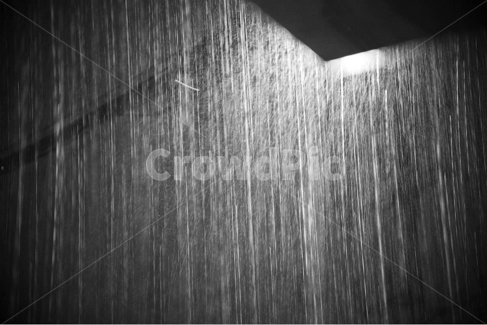 비,rain,밤,빛,night,light,가로등,빗줄기,비오는밤,밤비
