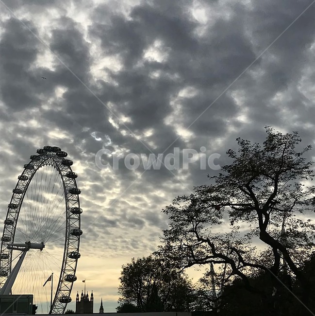 런던,런던아이,런던해질녘,london,uk,british,england,구름,cloud,나무