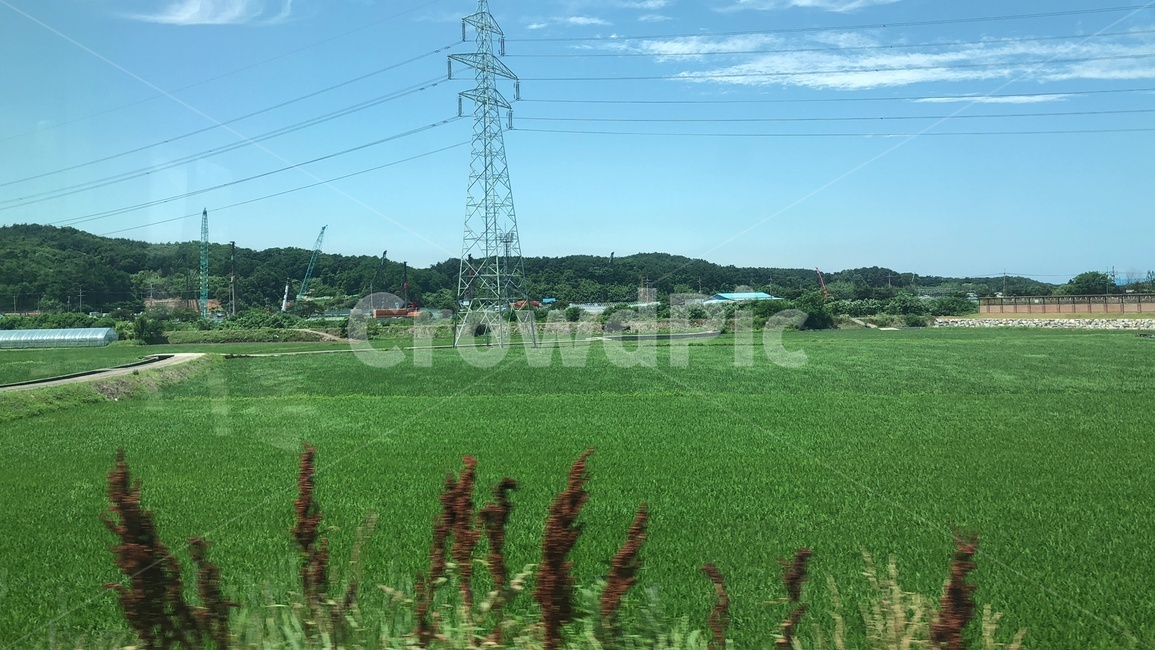 자연,기차,시골,밭,풍경