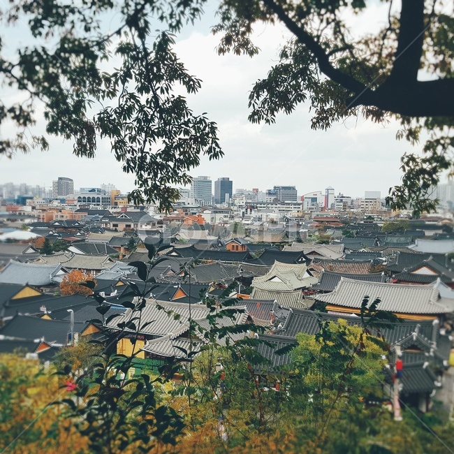landscape,경치,scenery,풍경,자연,건물,시티뷰,cityview,전주