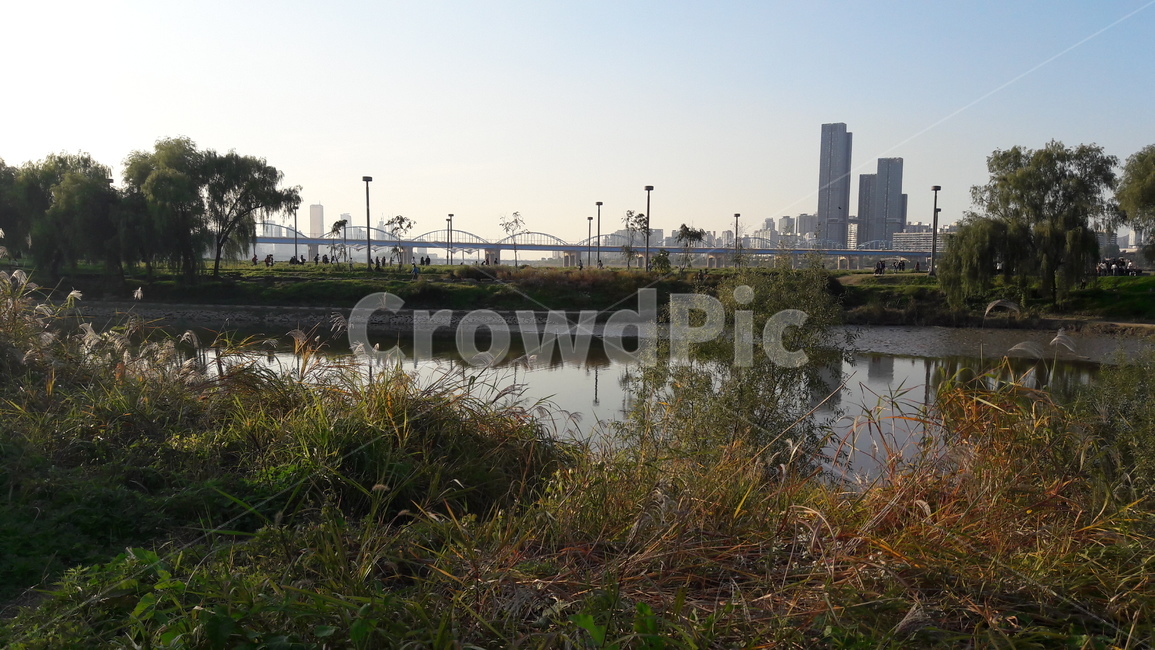 서래섬,메밀꽃,가을,한강,하늘,도시,풍경,city,landscape,한국도시풍경,한국도시경관,korea cityscape,nature,자연,water,물,outdoors,옥외,land,땅