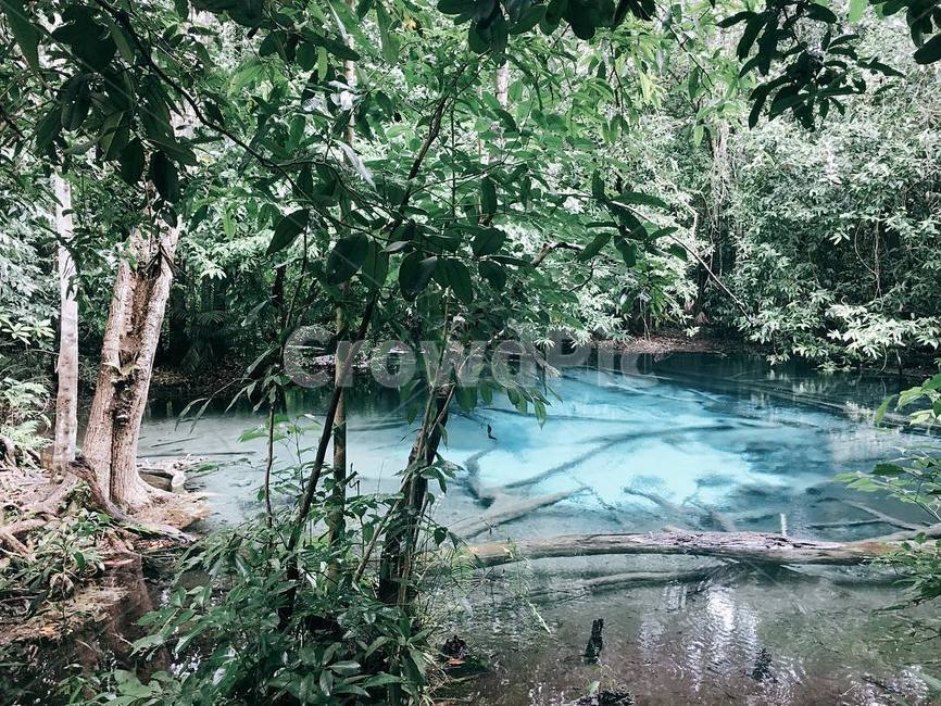 크라비,끄라비,태국,블루풀,풍켱,자연,krabi,bluepool,자연,풍경,nature,landscape,해외,외국,세계,foreign,oversea,world,세계자연풍경,해외자연풍경,외국자연풍경,world nature landscape,water,물,outdoors,옥외,land,땅,plant,식물,vegetation,초목