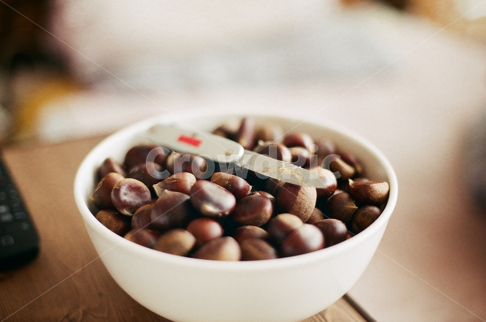 밤,주머니칼,칼,그릇,열매,nut,chestnut,필름사진,filmcamera