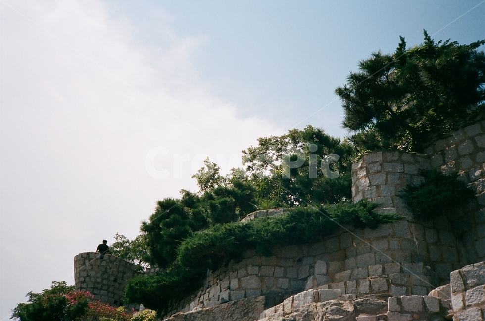 거제도,매미성,돌담,성,여름,castle,korea