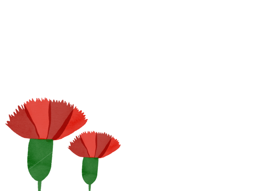카네이션일러스트,어버이날,스승의날,어버이날라벨,스승의날라벨,스승의날이름표,카네이션라벨,카네이션이름표,카네이션손그림,카네이션수채화,카네이션배경