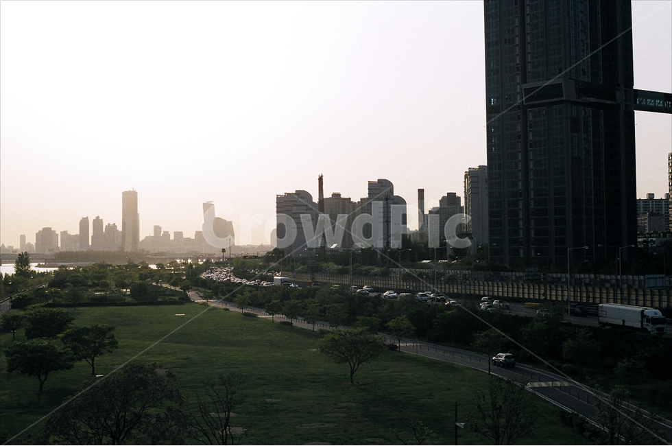 한강,강변북로,이촌동,노을,감성,필름,필름카메라,도시,풍경,city,landscape,한국도시풍경,한국도시경관,korea cityscape,plant,식물,grass,잔디,nature,자연