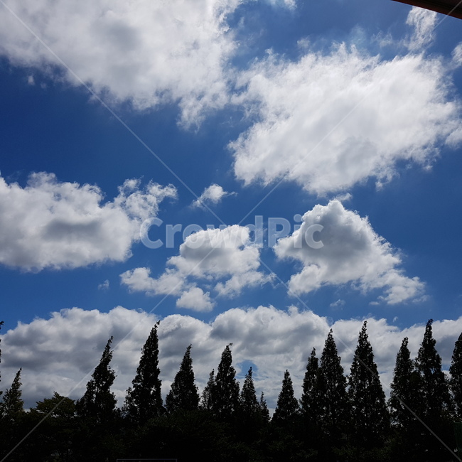 구름,하늘,sky,날씨,자연,nature,옥외,outdoors