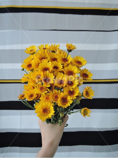 꽃,flower,꽃꽂이,flowerarrangement,blossom,식물,plant,flowerbouquet,꽃부케,부케,bouquet,봄,봄꽃,yellow,노랑,손