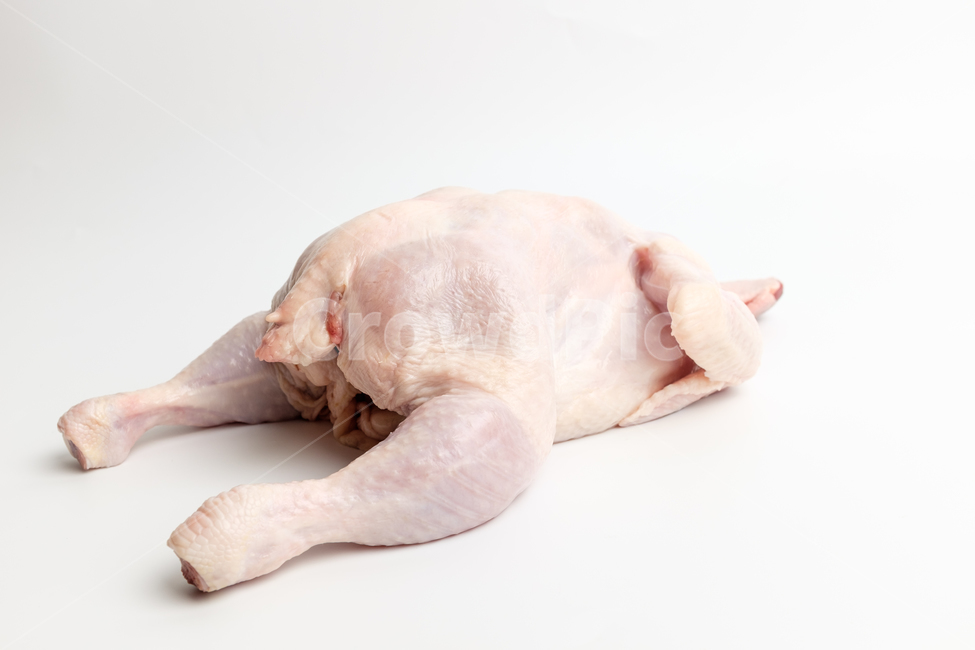 닭,날것,닭고기,고기,음식재료,식재료,재료,음식,신선한,식사,요리,흰고기,손질된,닭가슴살,닭다리살,닭다리,닭날개,닭목,식품,맛있는,생닭,음식,식재료,요리,food,cook,meal,dishes,food reserves,육류,고기,meat