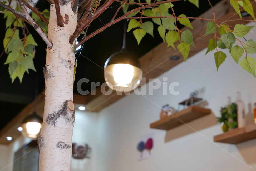 카페,cafe,식물,나무,tree,인테리어,실내디자인,interior design