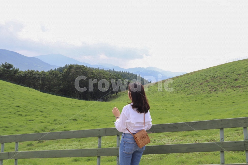 여자,옆모습,인물,목장,잔디밭,잔디,여름,힐링,여유,healing,green,summer,사람,청정,상쾌,뒷모습