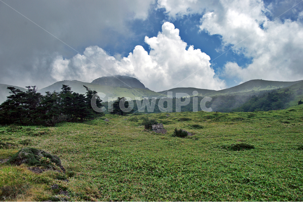 한라산,영산,제주도,자연,어리목코스,운무,탐방로,만세동산,백록담,구름