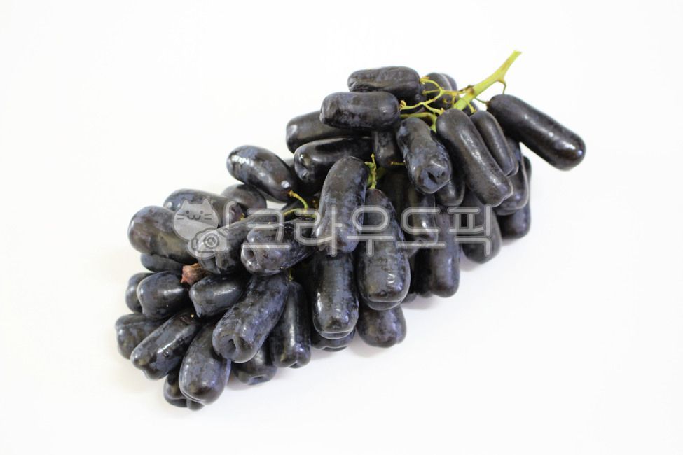 과일,fruit,포도,가지포도,블랙사파이어포도