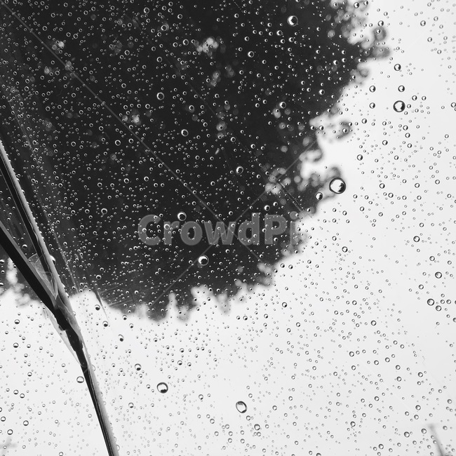 비,날씨,우산,빗방울,물방울,감성,자연,흑백,비,비오는날,rain,rainy,흑백,모노톤,monochrome,black and white