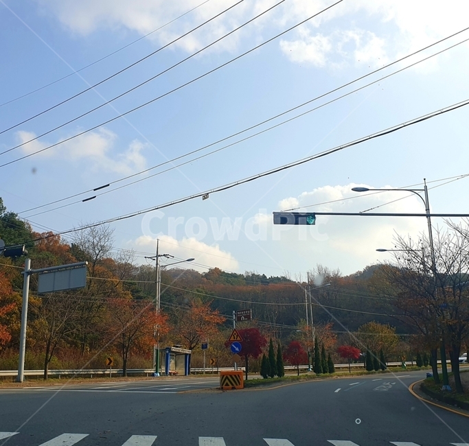 아스팔트,road,도로,자연,가을,가을,계절,fall,autumn,season