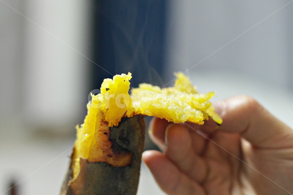 군고구마,고구마,호박고구마,주전부리,간식,겨울간식,겨울,계절,winter,season,음식,식재료,요리,food,cook,meal,dishes,food reserves