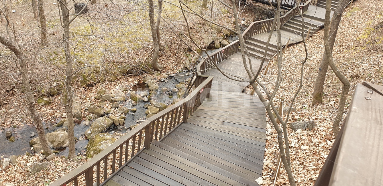 산책로,자연,나무,계단,여유,자연,풍경,nature,landscape,bridge,다리,boardwalk,building,건물,banister,난간,handrail