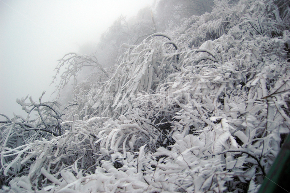 nature,자연,outdoors,옥외,snow,눈,winter,겨울,겨울,계절,winter,season,자연,풍경,nature,landscape