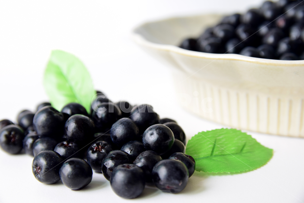아로니아,아로니아베리,베리류,음식,식재료,과일,열매,베리,아로니아열매,접시,aronia,aroniaberry,plate,fruit,berry,food,과일,열매,fruit